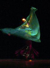 Piper's lyrical and dynamic veil dancing at Belly Dance Magic 2007 3040D