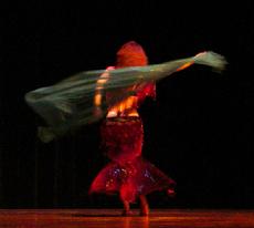 Piper's lyrical and dynamic veil dancing at Belly Dance Magic 2007 3046D